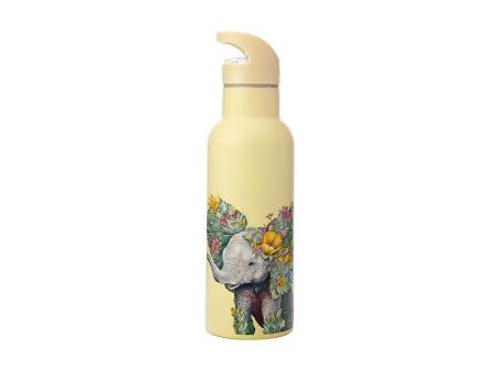 M&w Marini Ferlazzo Wild Planet Double Wall Insulated Bottle 500ml Elephant Hot on Sale