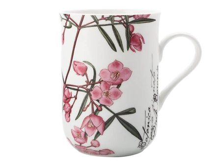 Maxwell & Williams Royal Botanic Gardens Botanic Mug Boronia 300ml Online now