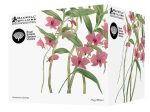 Maxwell & Williams Royal Botanic Garden - Australian Orchids Mug 350ml - Pink Online Hot Sale