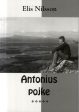 Antonius pojke Cheap