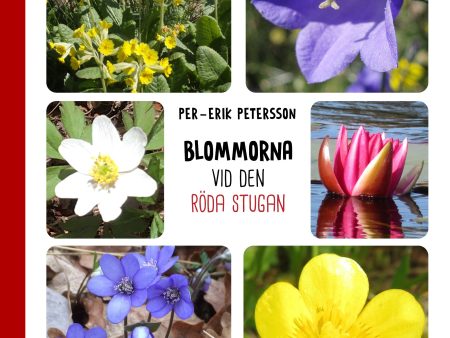 Blommorna vid den röda stugan Online now