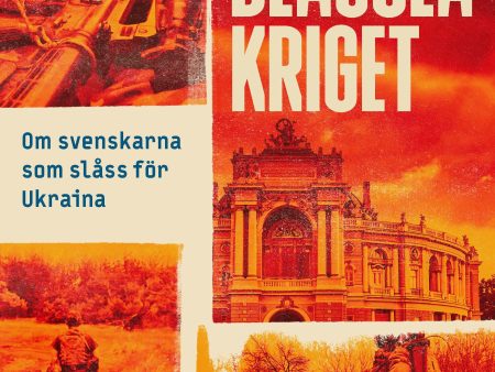 Blågula kriget : om svenskarna som slåss för Ukraina Online Sale