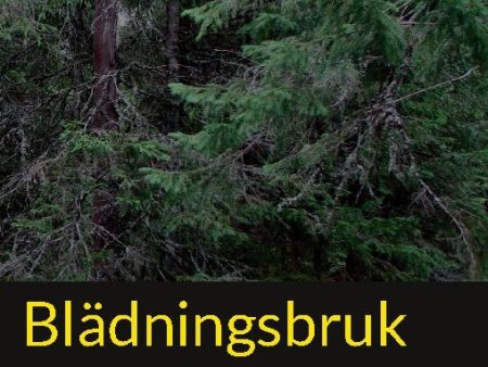 Blädningsbruk : En handbok Online now