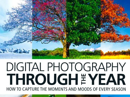 Digital Photography Through The Year Cheap